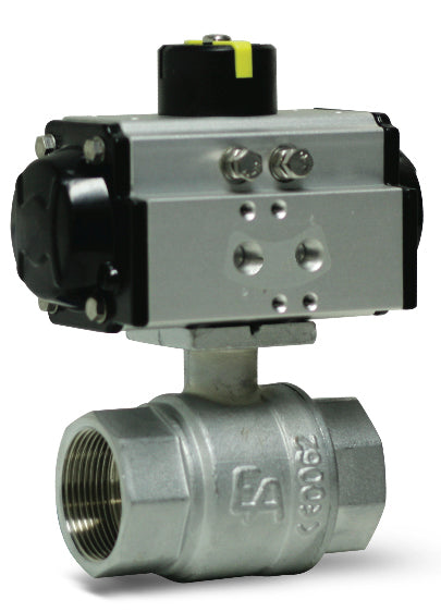 BPS 2411P